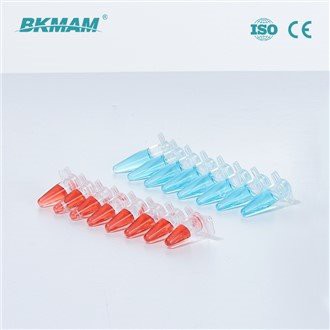 רצועת צינורות PCR